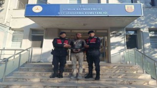 Aranan PKKlı Bursada jandarma uygulamasında yakalandı