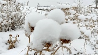 Ardahan beyaza büründü