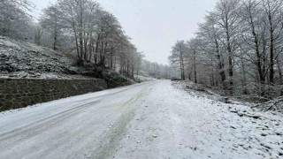 Artvinde kar yağışı nedeniyle 13 köy yolu ulaşıma kapandı