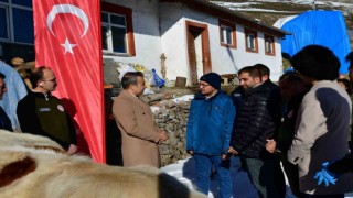 Aşılama ile buzağı ölümlerinin azalması hedefleniyor