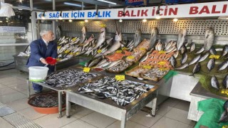 Bağışıklığı korumak için palamut ve hamsi yeme önerisi