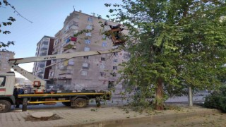 Bağlarda görüntü kirliliği ve bakım ihtiyacı olan ağaçlar budandı