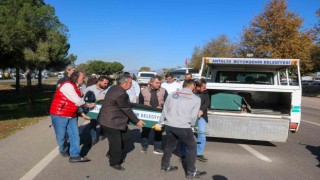 Bahçesine gitmek isterken otomobilin çarpmasıyla can verdi