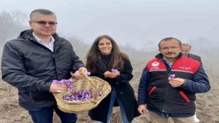 Balıkesirde kadın girişimciye tam destek