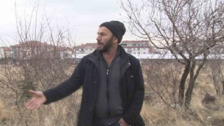Başkentte başıboş köpek dehşeti