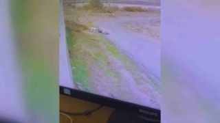 Başkentte bisiklet süren çocuğa başıboş köpek saldırdı