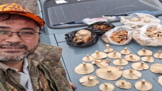 Bayramiçte kanlıca mantarı köylünün gelir kapısı oldu