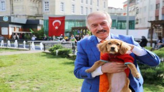 Bayrampaşa Belediye Başkanı Aydıner: Can dostlarımız için en iyi koruyucu aile biz olacağız