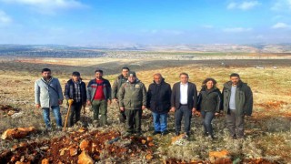 Besni Kaymakamı Partal dikilen fidanları inceledi