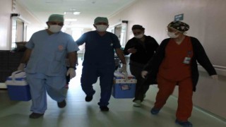 Beyin ölümü gerçekleşen 71 yaşındaki hastanın bağışlanan organları umut olacak