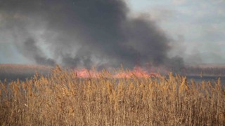 Beyşehir Gölü sazlıklarında çıkan yangın balıkçıları korkuttu