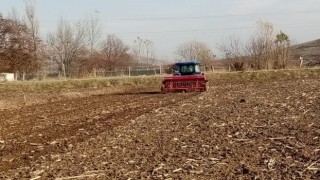 Bin yıllık ata tohumu ‘Karakılçık buğdayı toprakla buluştu