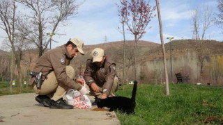 Bingölde HAYDİ ekipleri can dostları unutmuyor