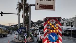 Bodrum Belediyesi, Atatürk Caddesi'ndeki palmiyeleri budadı