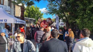 Bodrum Mandalina Festivali buruk geçti