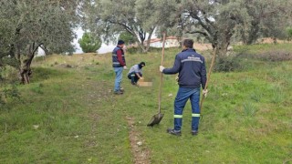 Böyle vahşet görülmedi, onlarca köpek telef olmuş vaziyette bulundu