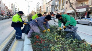Bozüyükte park bahçelerde bakım ve temizlik çalışmaları sürüyor