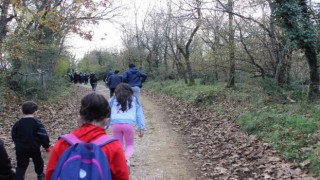 Bu sefer Kent Ormanında yürüdüler