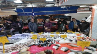 Bu sezon ilk: Kilosu 25 TLye düşen hamsi kapış kapış gitti