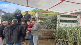 Buldanda 17 bin fidan toprakla buluşacak