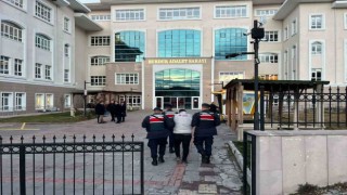 Burdurda jandarma ekiplerinin genel asayiş çalışmalarında yakalanan 9 şahıs tutuklandı