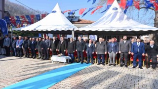 Bursa Büyükşehirden kestane üretimine destek