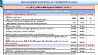 Bursa Hayvanat Bahçesi giriş ücretleri zamlanıyor
