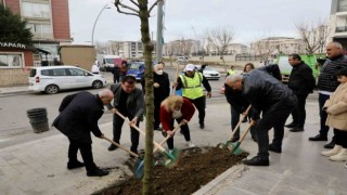 Büyükçekmecede 2024 yılına 24 mahallede ağaç dikerek girildi