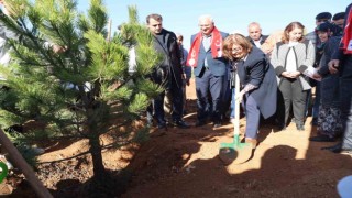 Büyükşehir, Taşlıca Malazgirt Mahallesinde ağaç dikimi yaptı