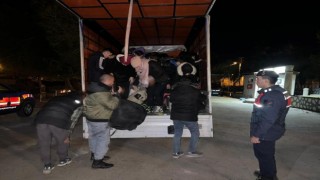 Çanakkalede kamyonet içerisinde 41 kaçak göçmen yakalandı