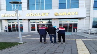 Çelik kasayı kırarak yüklü miktarda döviz ve altın çalan şüpheli tutuklandı