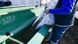 Çiftçinin yüzünü güldürecek ekim