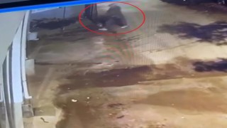 Çöp kovası hırsızı kamerada