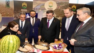 Cumhurbaşkanı Yardımcısı Yılmaz Diyarbakır Tanıtım Günlerini ziyaret etti