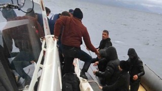 Datçada 43 düzensiz göçmen yakalandı
