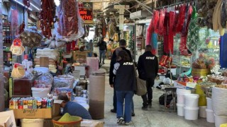 Denizle karanın birleştiği İskenderunda hayat normale dönüyor