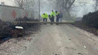 Devrilen direğe çarpan motosikletin sürücüsü yaralandı