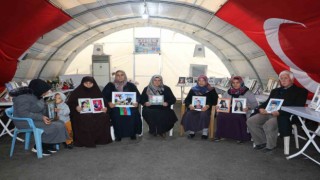 Diyarbakır anneleri bin 557 gündür nöbette