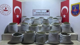 Diyarbakır'da 1 ton 148 kilogram esrar ve 606 kök kenevir bitkisi ele geçirildi