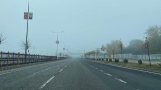 Diyarbakırda hava ve kara trafiğinde ‘sis etkisi