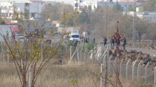 Diyarbakırda kaleşnikoflu taşlı sopalı kavga: 9 yaralı