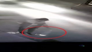 Duba hırsızı kamerada...