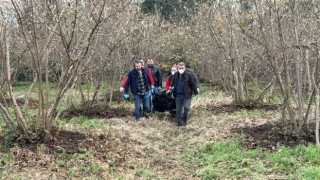 Düzcede ormanlık alanda erkek cesedi bulundu