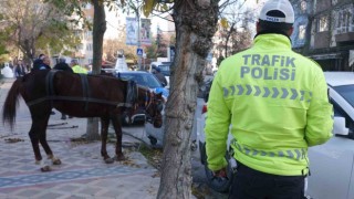 Edirnede ilginç olay: Başıboş at 5 araca hasar verdi