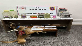 Elazığda uyuşturucu tacirlerine operasyon: 1 tutuklama