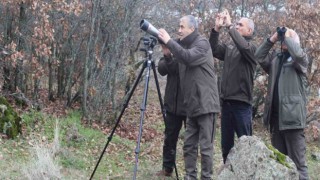 Elazığda yaban keçisi envanter çalışması yapıldı