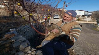 Şehirden topladığı atık yiyecekleri dağdaki hayvanlara bırakıyor