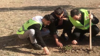Emet MYOda fidan dikim etkinliği