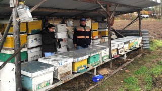 Emette arılı kovan desteklemesi tespit çalışması