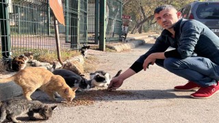 Enkaz ismini verdiği kedilere gözü gibi bakıyor